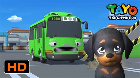 Tayo English Episodes l Can we have a dog? l Tayo the Little Bus - YouTube