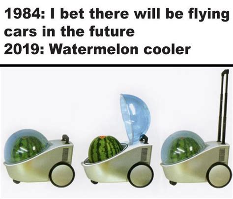 Watermelon Cooler | Portable Watermelon Cooler | Know Your Meme