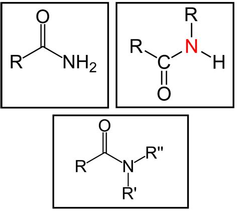 Difference Between Amine and Amide | Definition, Structure, Properties ...