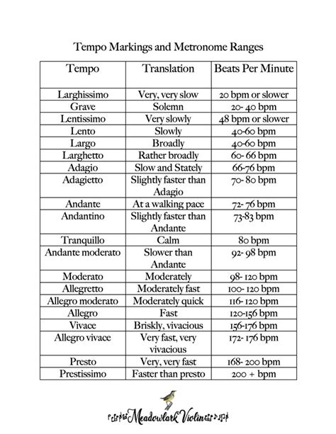 Easy Guide to Italian Words in Classical Violin Music — Meadowlark ...