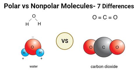 Polar and Nonpolar Covalent Bonds: Characteristics & Differences ...