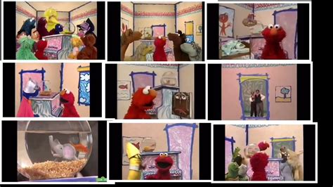 Elmo’s World - Various Song (combined) - YouTube