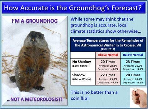 Groundhog Prediction 2024 Daylight - Caril Cortney