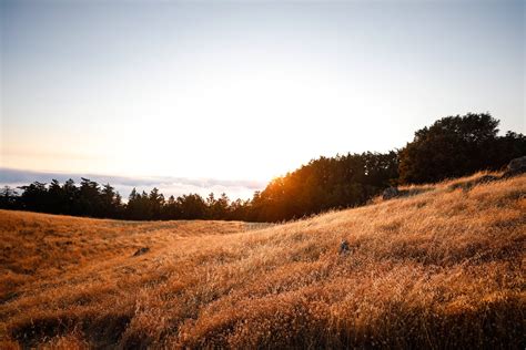 Mount Tamalpais — folk