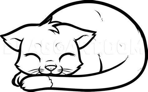 How To Draw A Sleeping Cat, Sleeping Cat, Step by Step, Drawing Guide ...