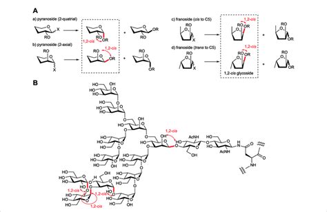 (A) Various types of glycosylations and (B) 1,2-cis glycosides in ...