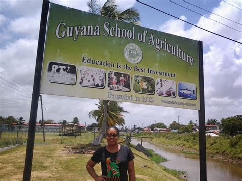 Caribbean Sisters In Agricultural Development : Guyana School of ...