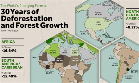 China Deforestation Map