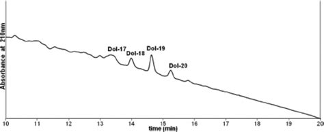 HPLC profile of total dolichol extracted from human lens with nuclear ...