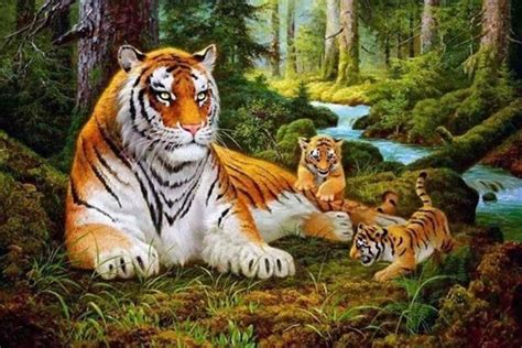 Tiger Family Paint By Numbers - Numeral Paint Kit