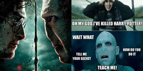 Harry Potter: 10 Memes That Perfectly Sum Up Harry And Voldemort's Rivalry