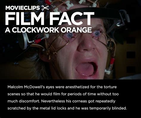 Clockwork Orange Movie Quotes. QuotesGram