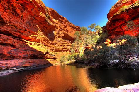 Kings Canyon - Australia | Kings canyon, Australia travel, Travel ...