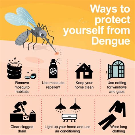 6 Tips on Preventing Dengue Fever (Effectively) – Social Diary