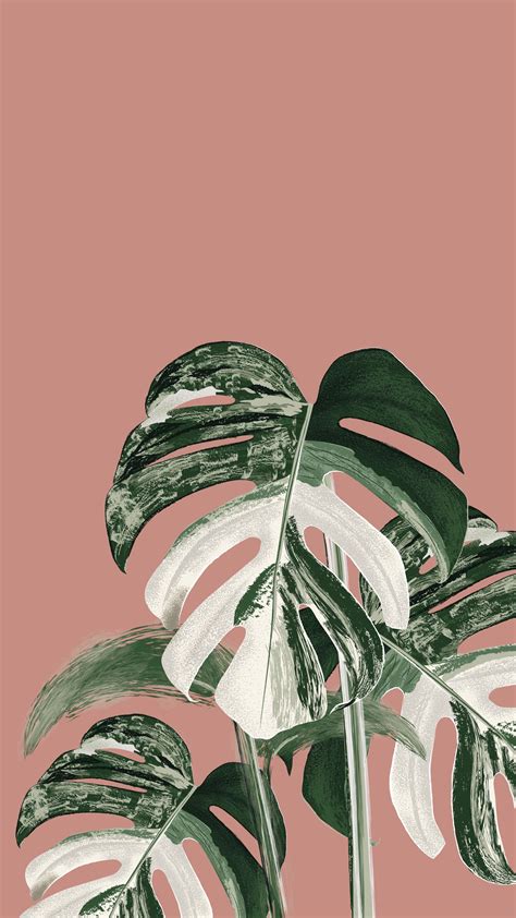 Details 53+ monstera plant wallpaper best - in.cdgdbentre