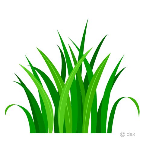 grass bush clipart 10 free Cliparts | Download images on Clipground 2024