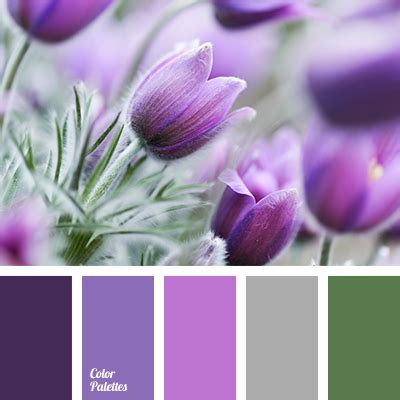 lilac and violet | Color Palette Ideas