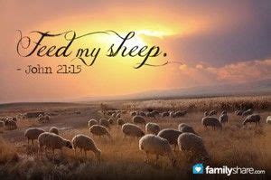 How to be a shepherd and not a sheep herder | Sheep, Feed my sheep, The ...