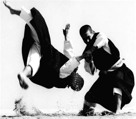 Arte Marcial: Kenpo | Aikido, Artes marciais, Artes