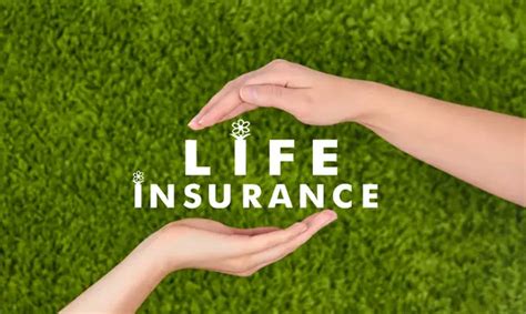 What Type Of Company Life Insurance Benefits To Offer Employees