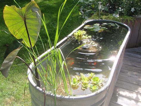 water trough pond - Google Search | Outdoor fish ponds, Garden pond ...