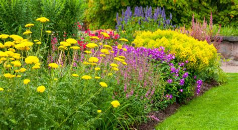 18 Summer Flowers for the Prettiest Garden Ever