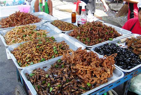 Edible Insects: Rich Protein Packed Grub