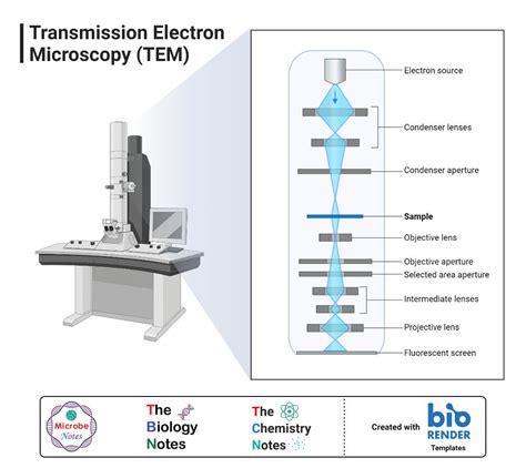 Jeol Usa Scanning Electron Microscopes Sem