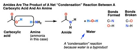 Amide Hydrolysis Using Acid Or Base – Master Organic Chemistry