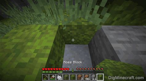 Minecraft Moss Block Texture