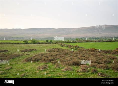 Preseli hills summer hi-res stock photography and images - Alamy