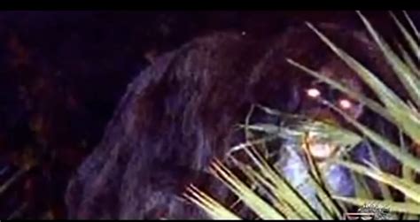 The Legendary Skunk Ape (Documentary) | Bigfoot Research News