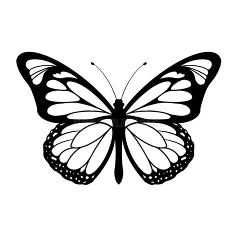 Butterfly Vector Silhouette