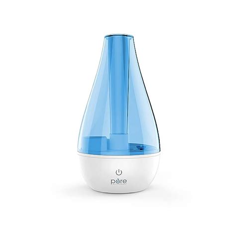 Best Small Humidifier For Plants [May 2024]: Top 6 Picks