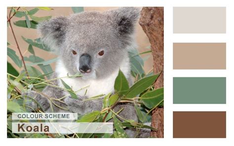 Website Design / Graphic Design colour scheme idea color pallette of ...