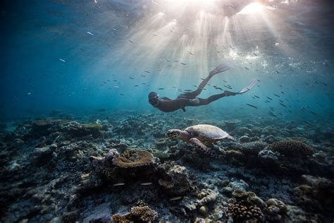 Freediving Photography — One ocean One breath