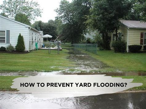 How to Prevent Yard Flooding