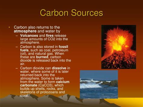 PPT - Where in the World is Carbon? PowerPoint Presentation - ID:5817962