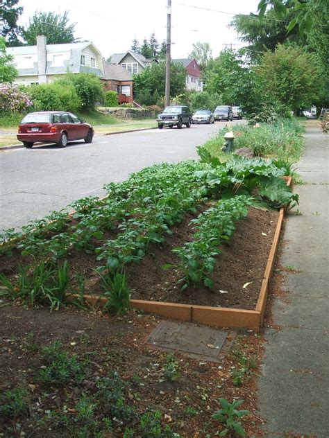 Streetside Potato Farm | Greenwalks