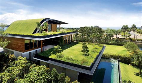 Green Roof Adalah: Arti, Jenis-Jenis dan Manfaatnya