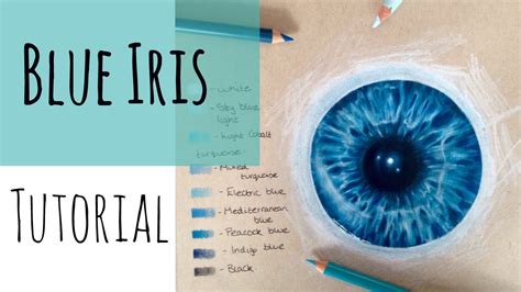 Drawing Realistic Eyes: How To Draw A Blue Iris - YouTube