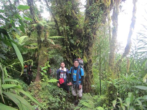 LEXICAL CROWN: A DAY CLIMB IN MOUNT MAKILING PEAK 2 FOR AS LOW AS P420