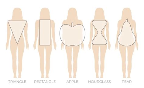 Female Body Types Chart: Complete Guide on Women Body Types - Salameh ...