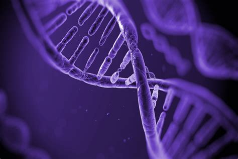 Dna Sequencing: What It Means, Benefits And Applications - Health SAF