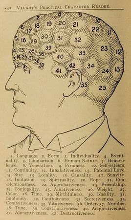 Physiognomy | Definition, History & Examples - Lesson | Study.com