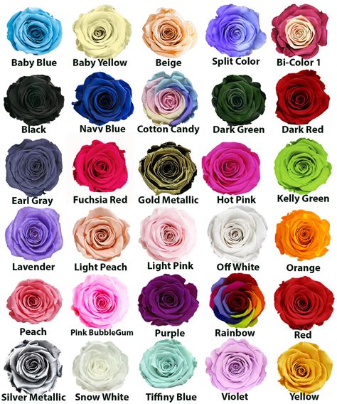 Rose Colors - dluxroses.com