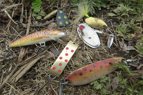 10 Best Baits for Rainbow Trout – Tilt Fishing