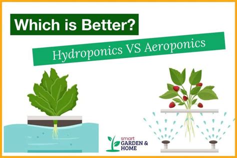 Hydroponics Vs Aeroponics: Which Is Better? | Smart Garden & Home