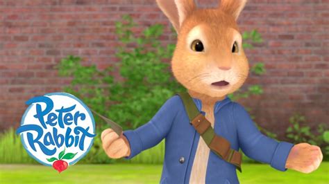 Peter Rabbit - Danger in the Garden | Cartoons for Kids - YouTube