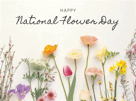 Happy National Plant a Flower Day! | ABCO Systems